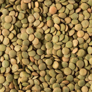 bulk lentil