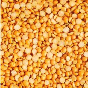 bulk split lentil