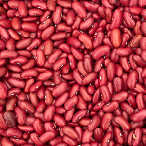 bulk red kidney bean