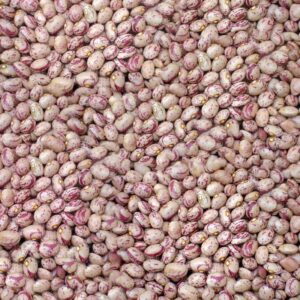 لوبیا چیتی فله ای