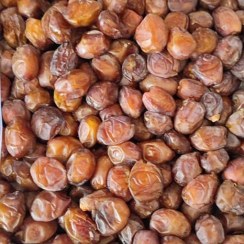 خرما خواصویی