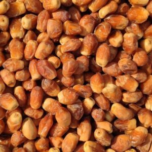خرما زاهدی